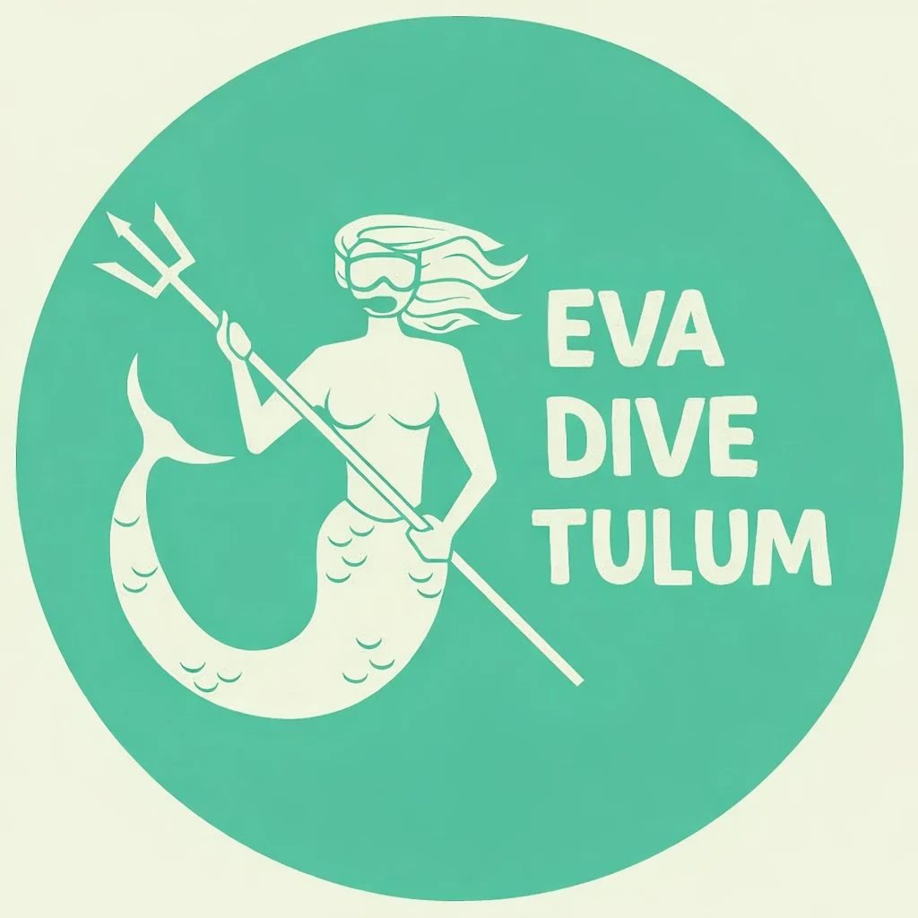 evadivetulum.com
